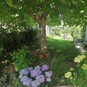 https://apartments-vellico.in-istria.net